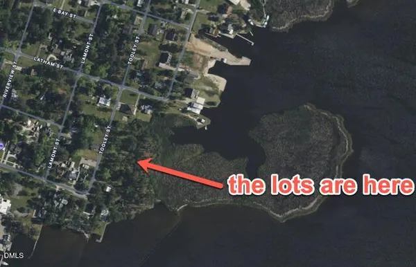 a view of outdoor space with garden