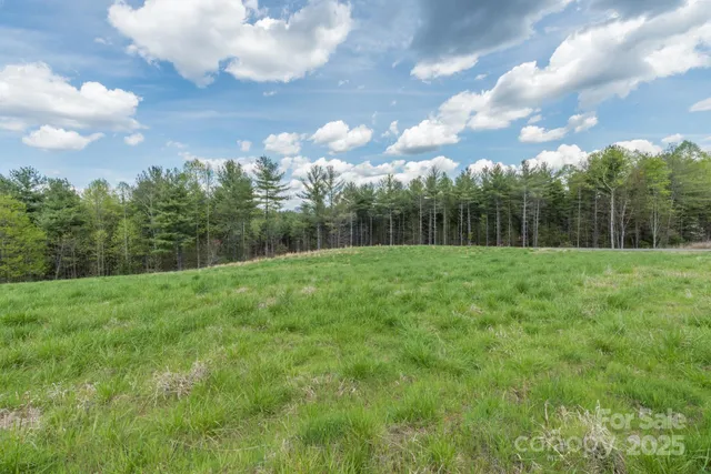 $349,000 | Lot 43 Winghaven Drive, Nebo, NC 28761
