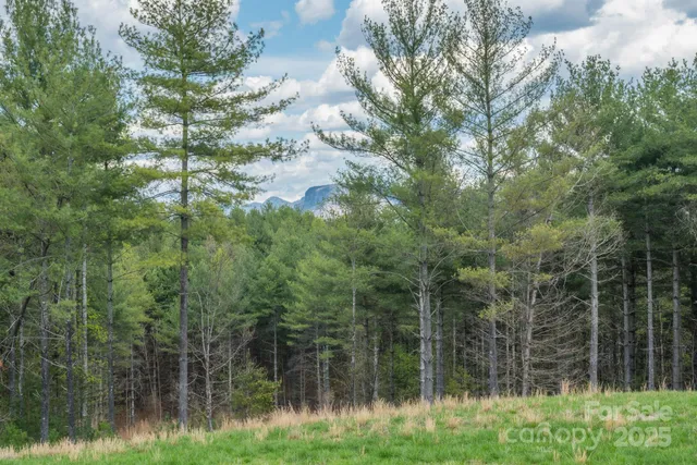 $349,000 | Lot 43 Winghaven Drive, Nebo, NC 28761