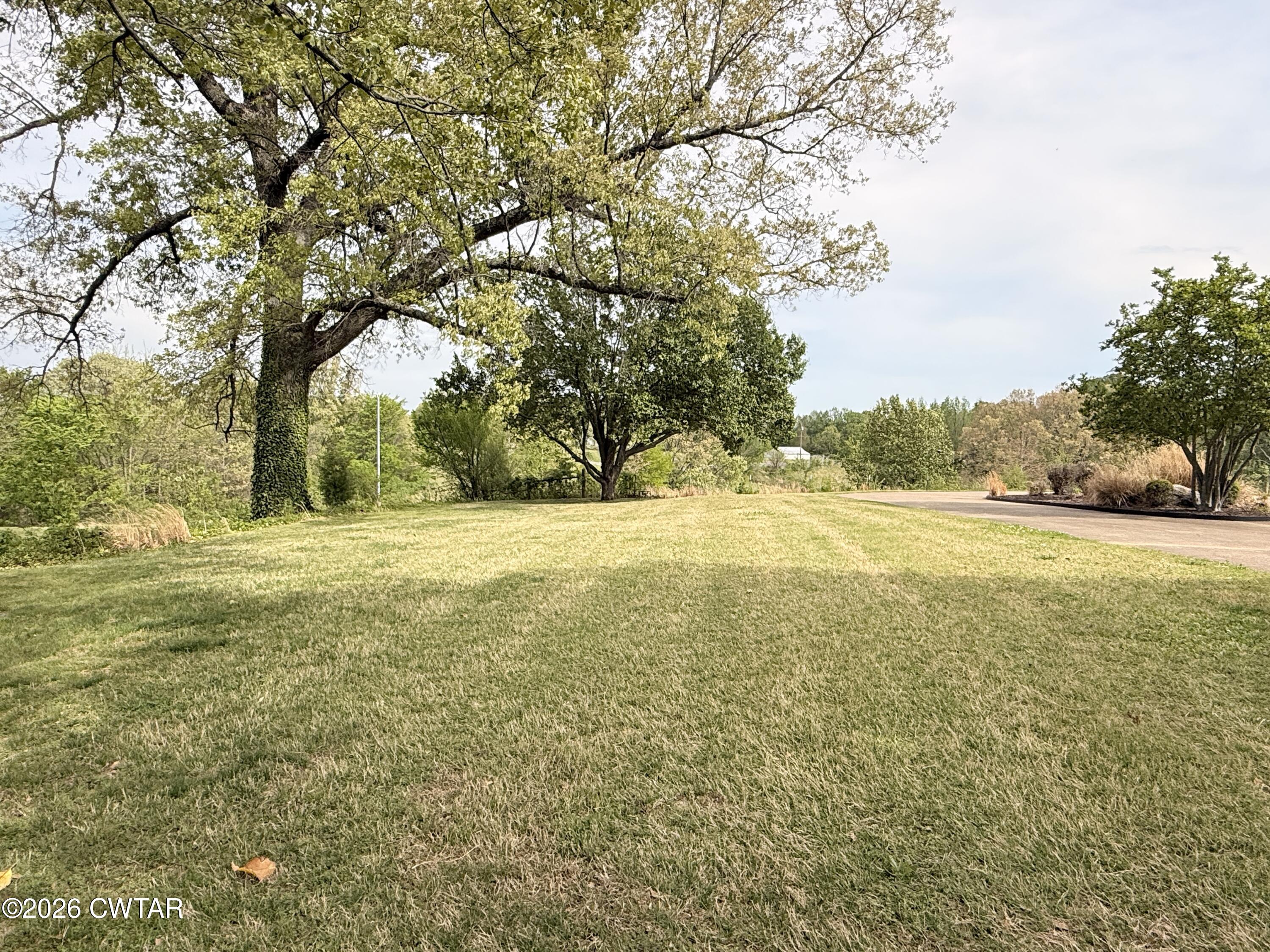 2787 Meacham Road Dyersburg, TN 38024 - Photo 14 of 45 a view of yard with large trees