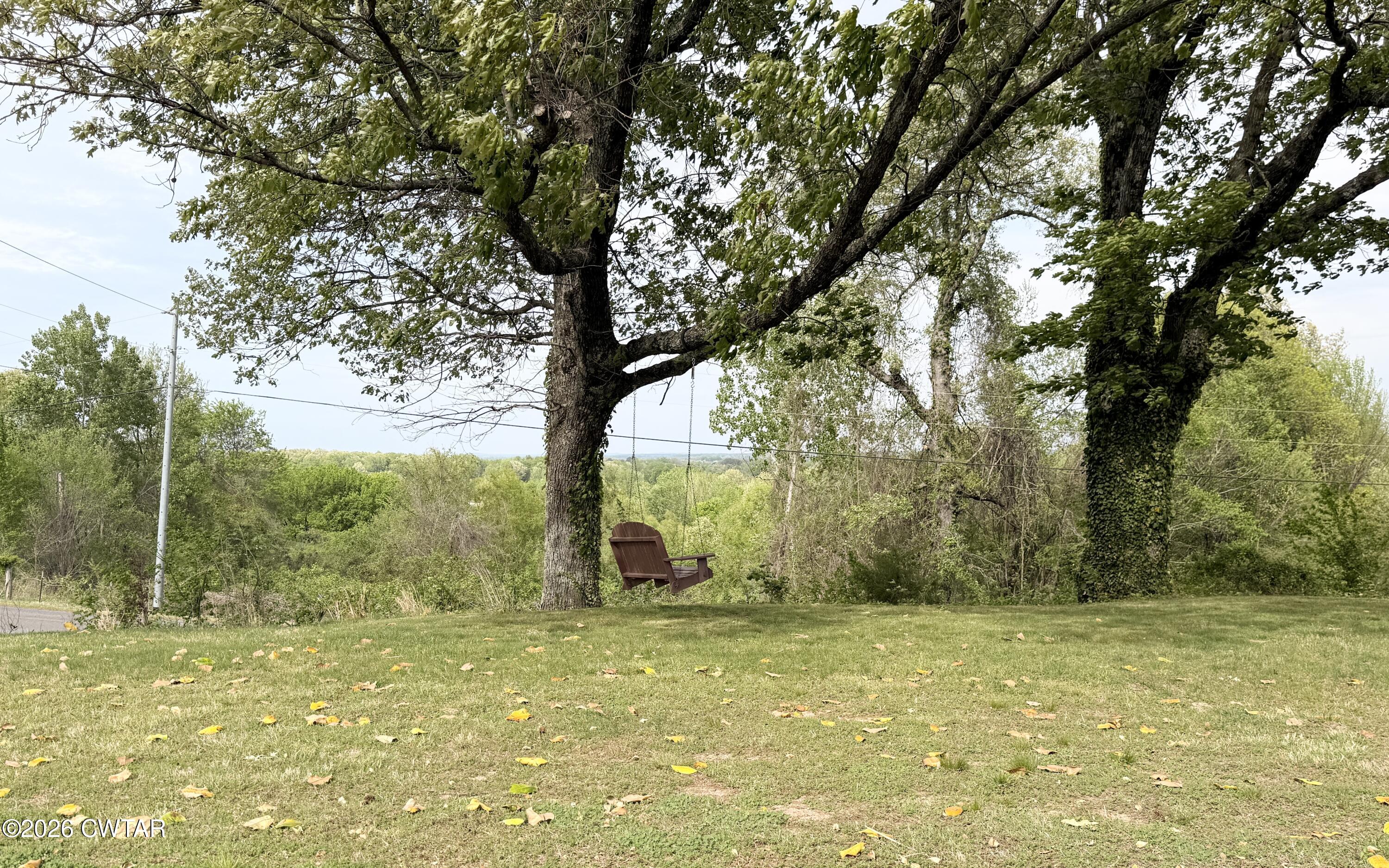 2787 Meacham Road Dyersburg, TN 38024 - Photo 15 of 45 a view of a yard with trees