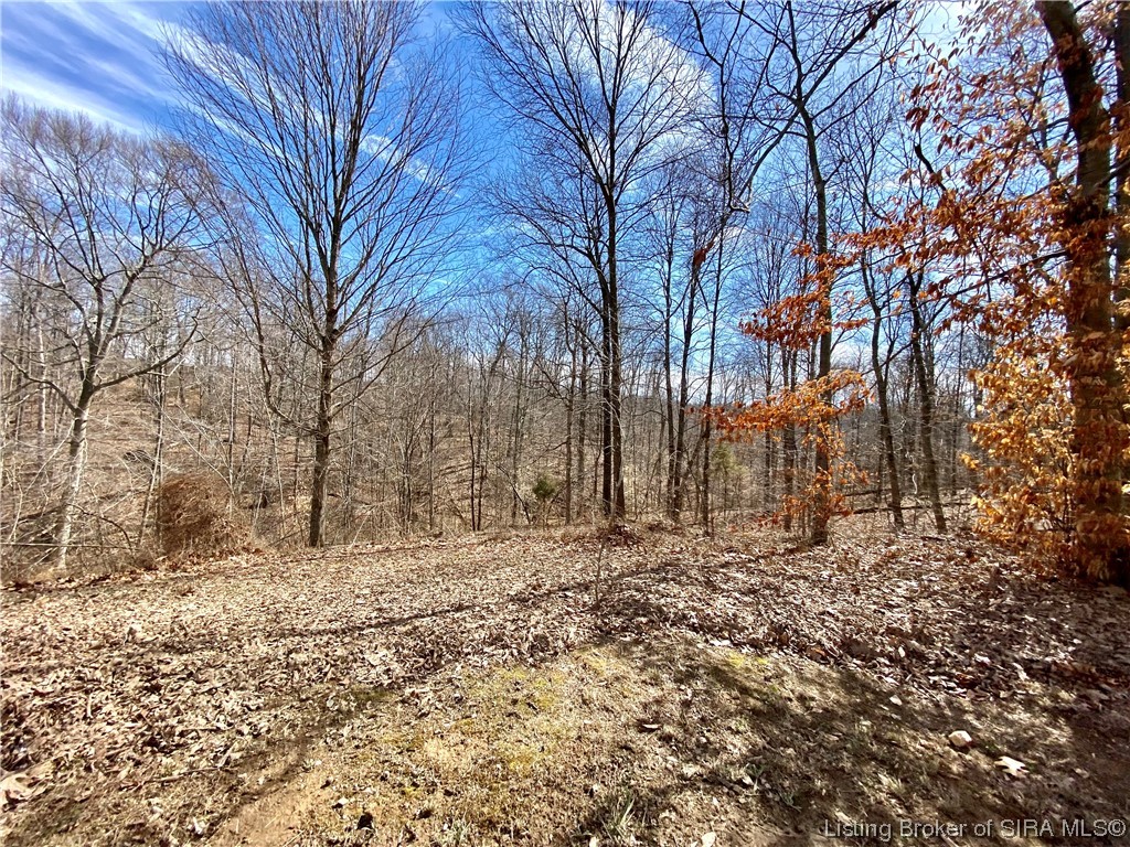 23416 Dan Gray Road Pekin, IN 47165 - Photo 44 of 53 Gallery Image 44