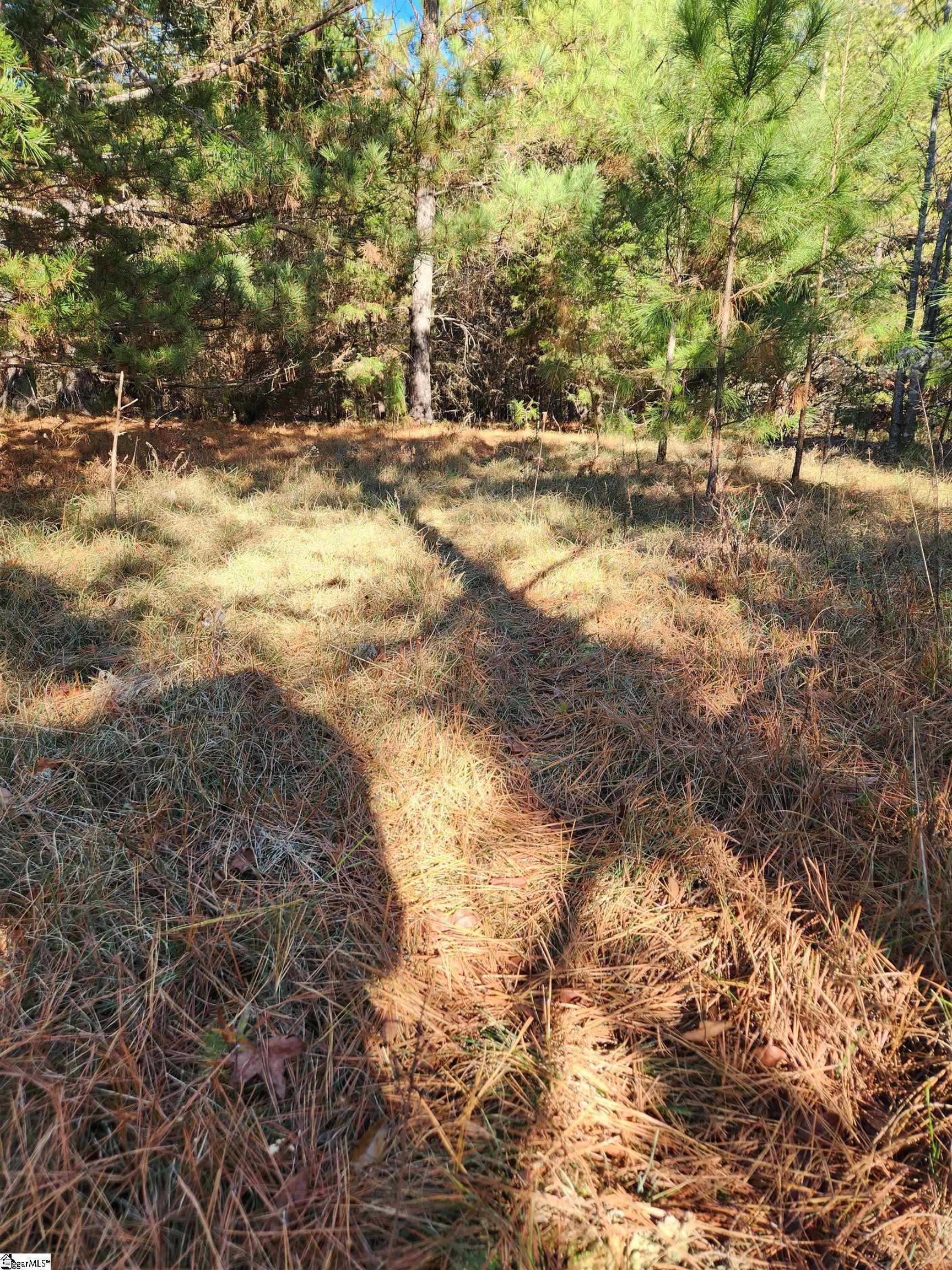 149 Gunter Road Piedmont, SC 29673 - Photo 3 of 7