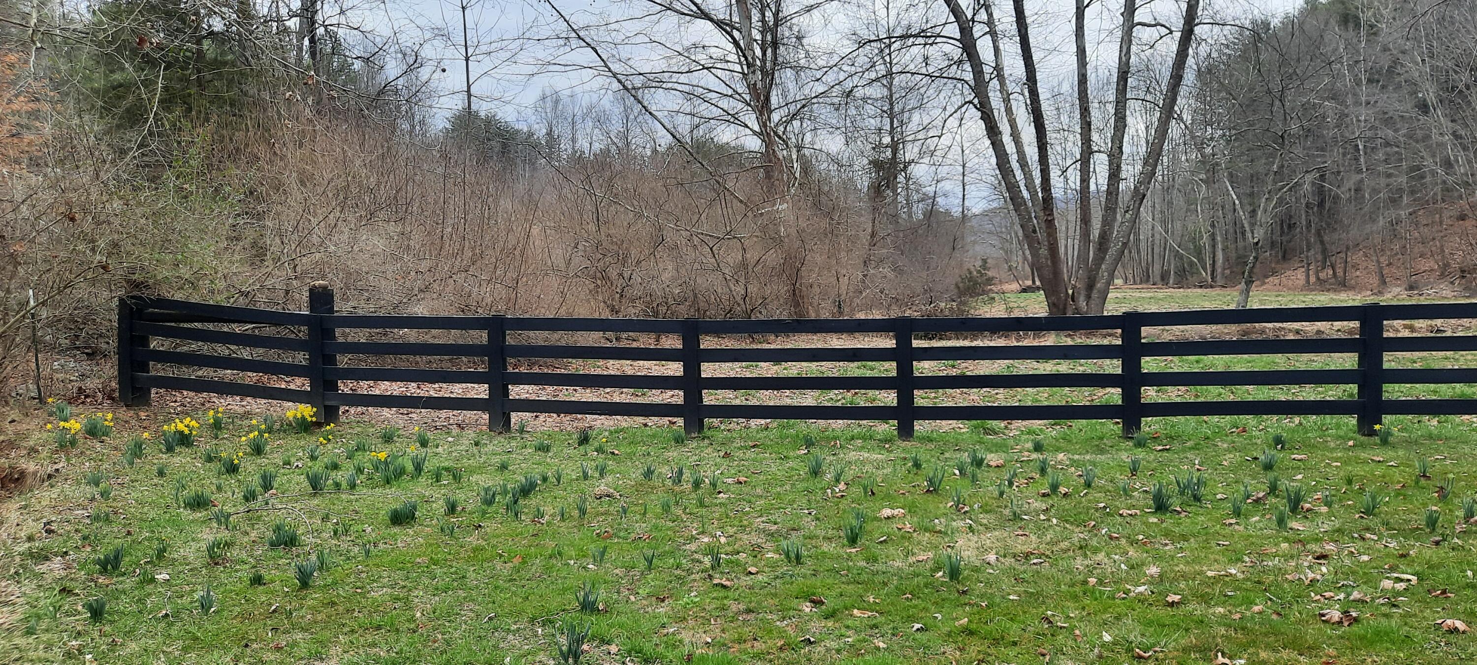 2135 Urban Creek Road Manchester, KY 40962 - Photo 51 of 81 20240227_140240