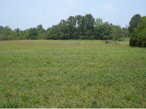 0 Seaton Road, Unit 17 Greeneville, TN 37743 - Photo 5 of 9 Photo 5