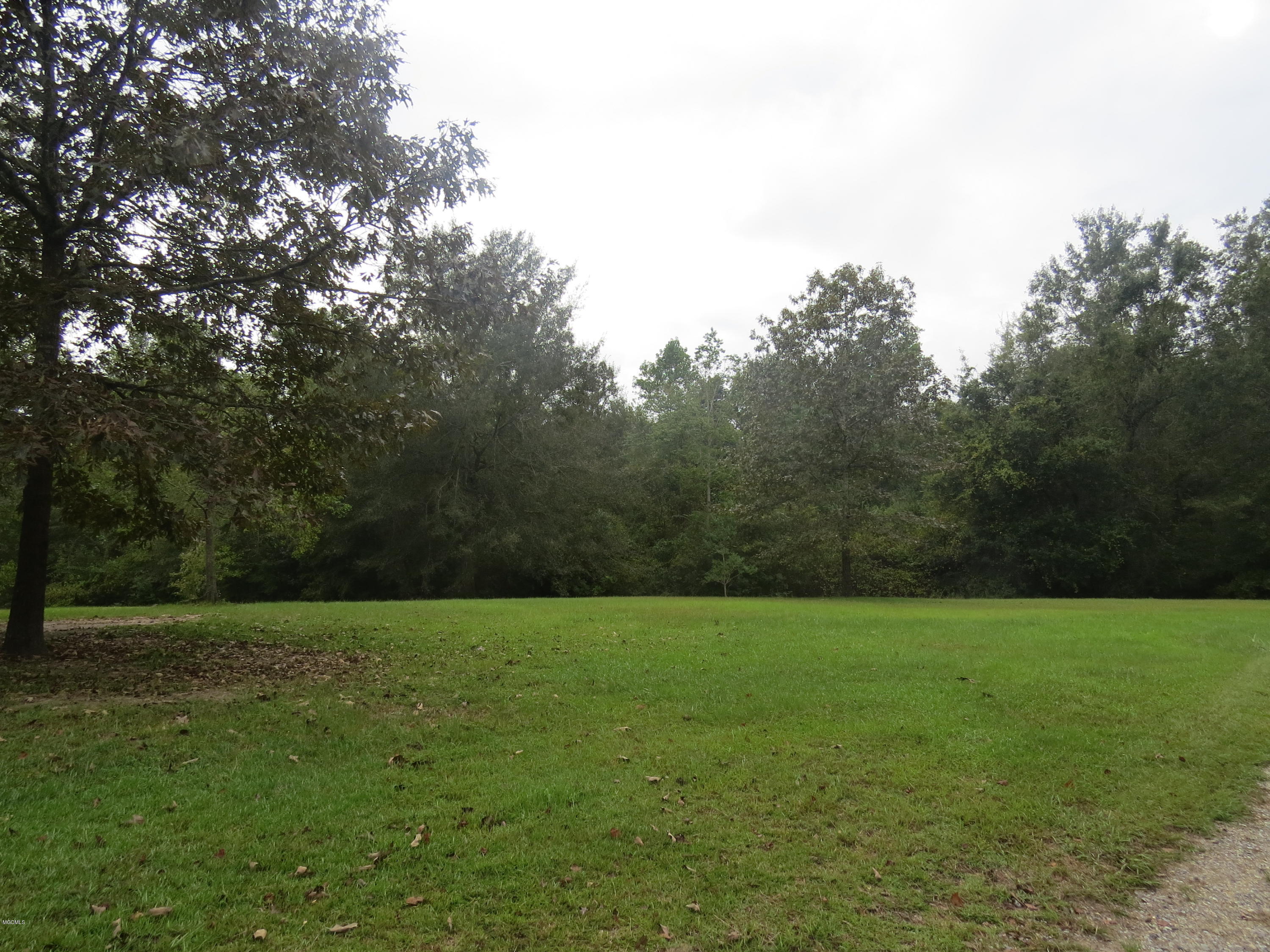 25772 Wolf Creek Road Kiln, MS 39556 - Photo 31 of 39 Front Yard