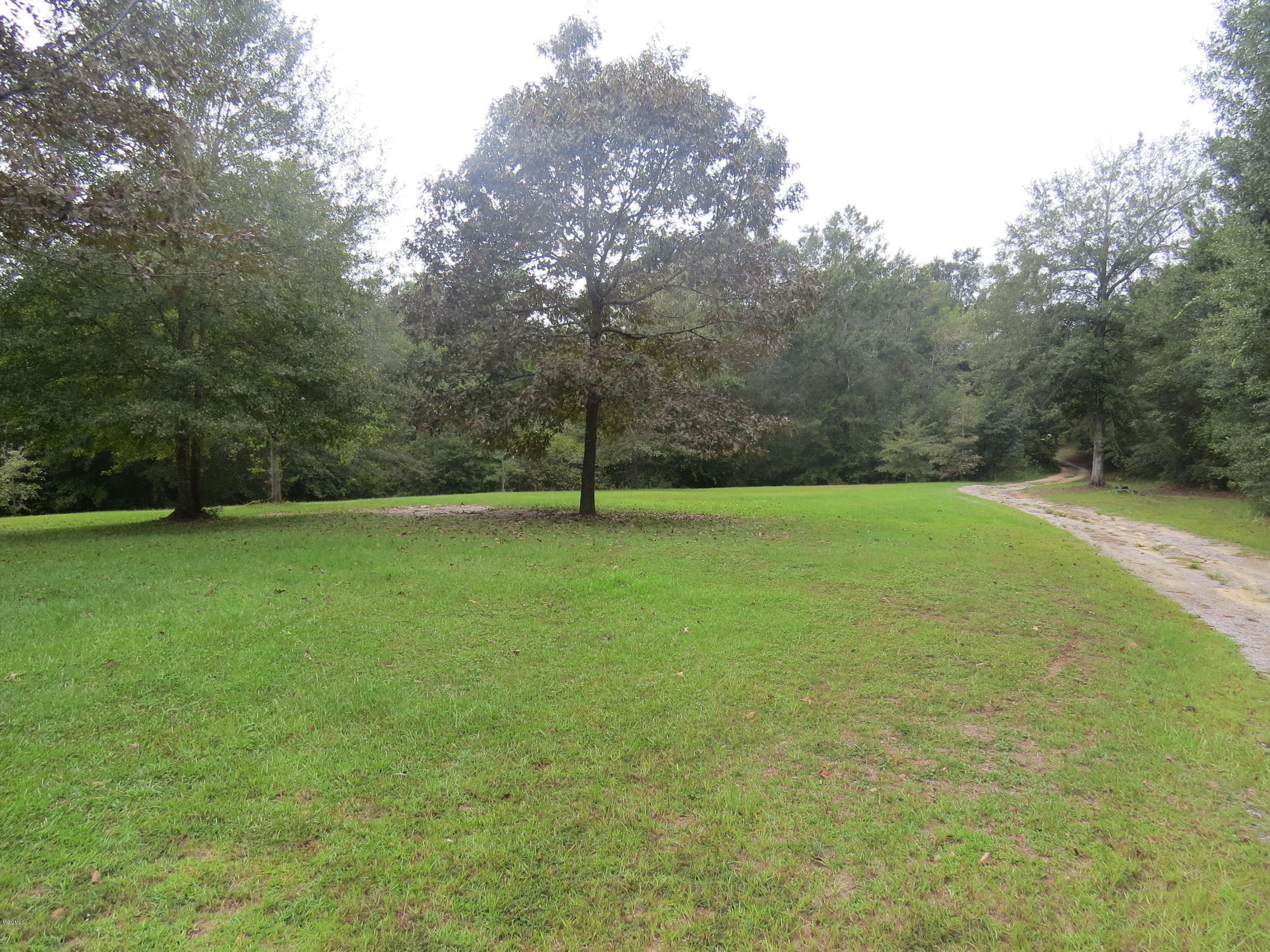 25772 Wolf Creek Road Kiln, MS 39556 - Photo 32 of 39 Front Yard