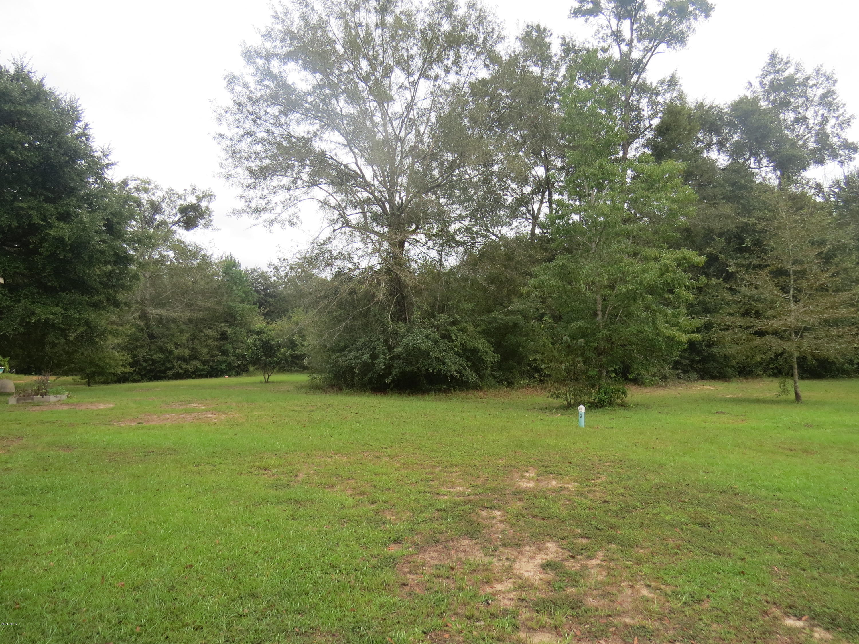 25772 Wolf Creek Road Kiln, MS 39556 - Photo 34 of 39 Side Yard