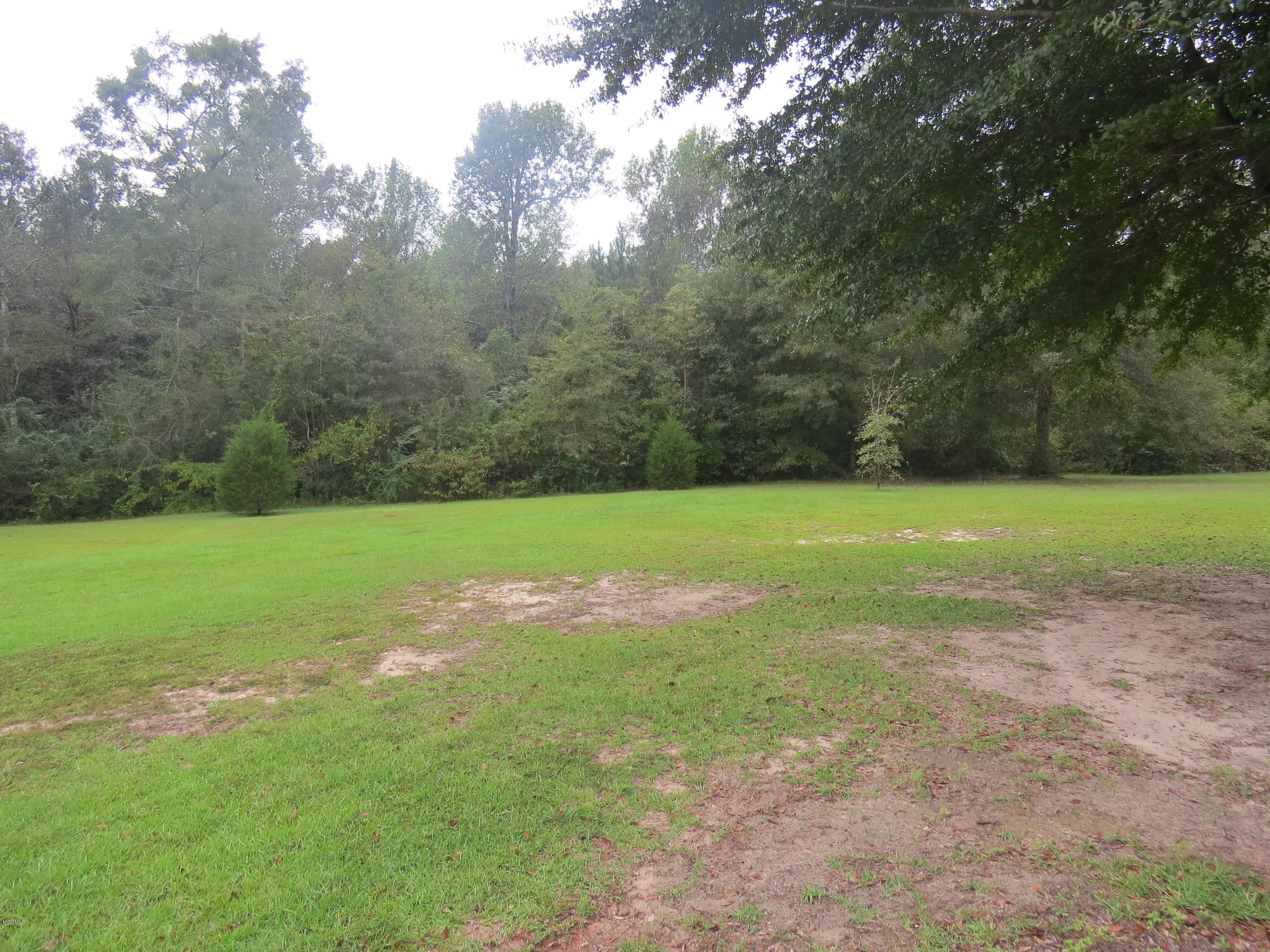 25772 Wolf Creek Road Kiln, MS 39556 - Photo 35 of 39 Side Yard