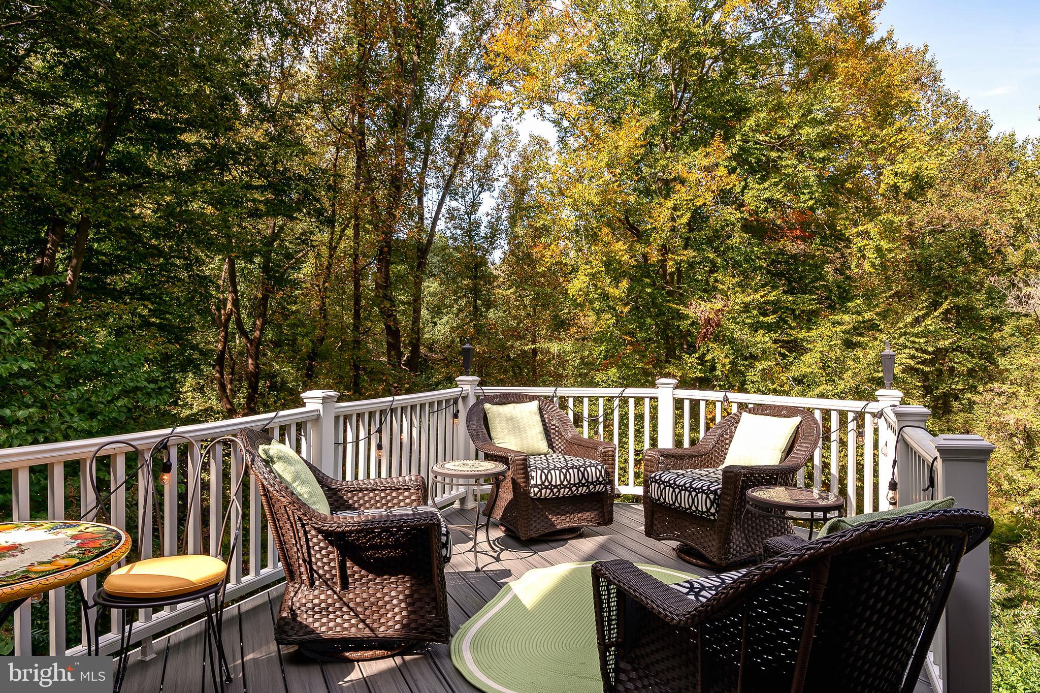 201 West Circle Laurel, MD 20707 - Photo 15 of 62 Deck from Breakfast Area