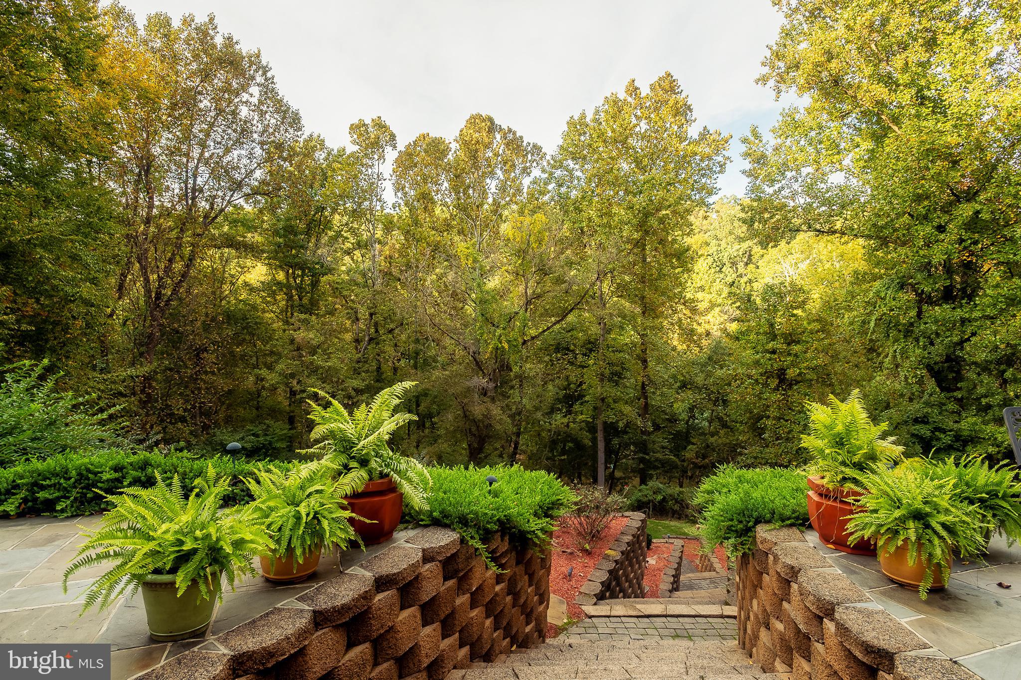 201 West Circle Laurel, MD 20707 - Photo 48 of 62 Steps to Tiered Back Yard (alt view)