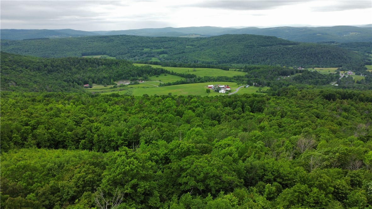 535 Rossman Valley Road Summit, NY 12149 - Photo 31 of 35 View