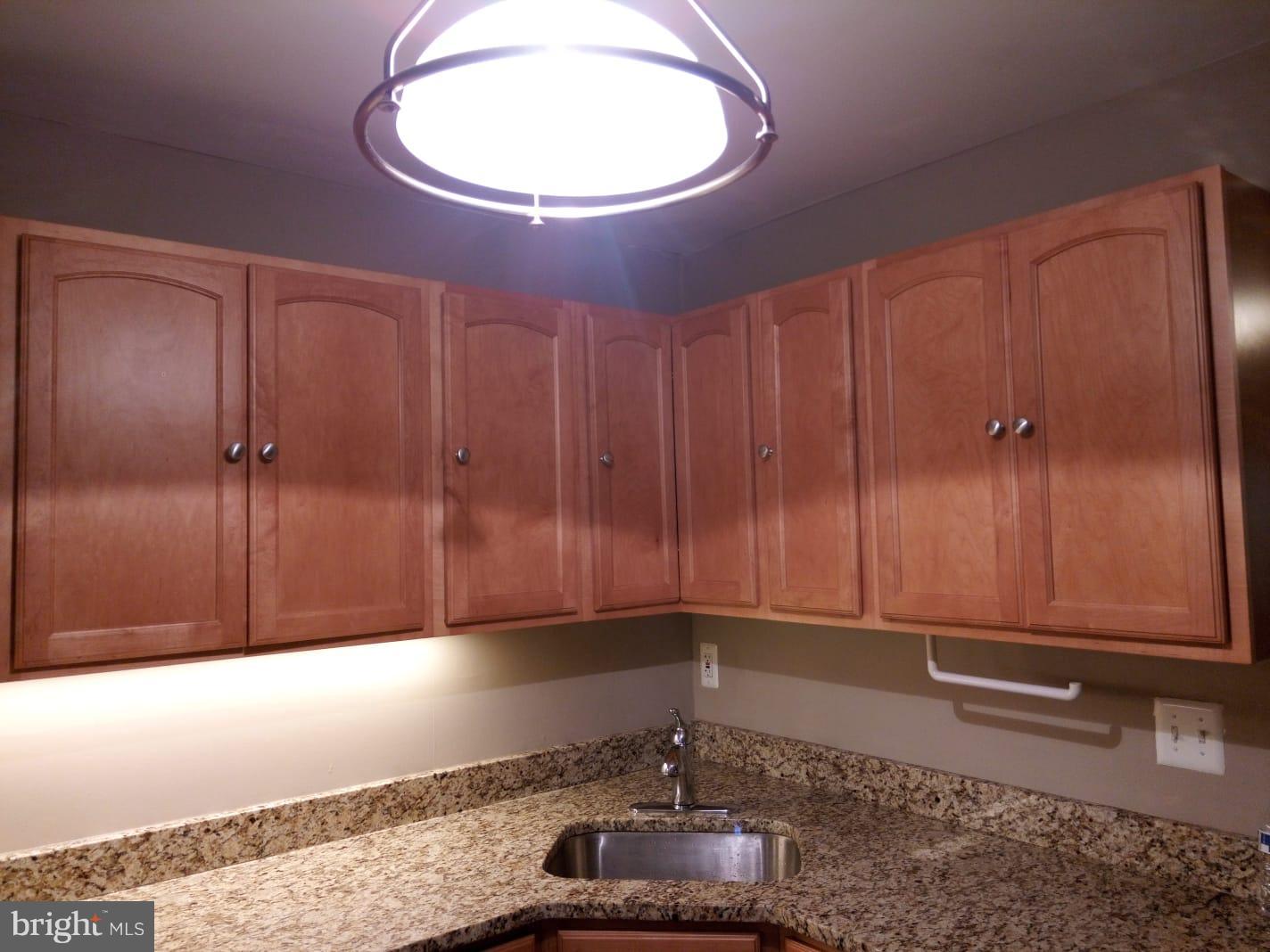 2008 Colts Neck Road, Unit 2A Reston, VA 20191 - Photo 15 of 24 Kitchen