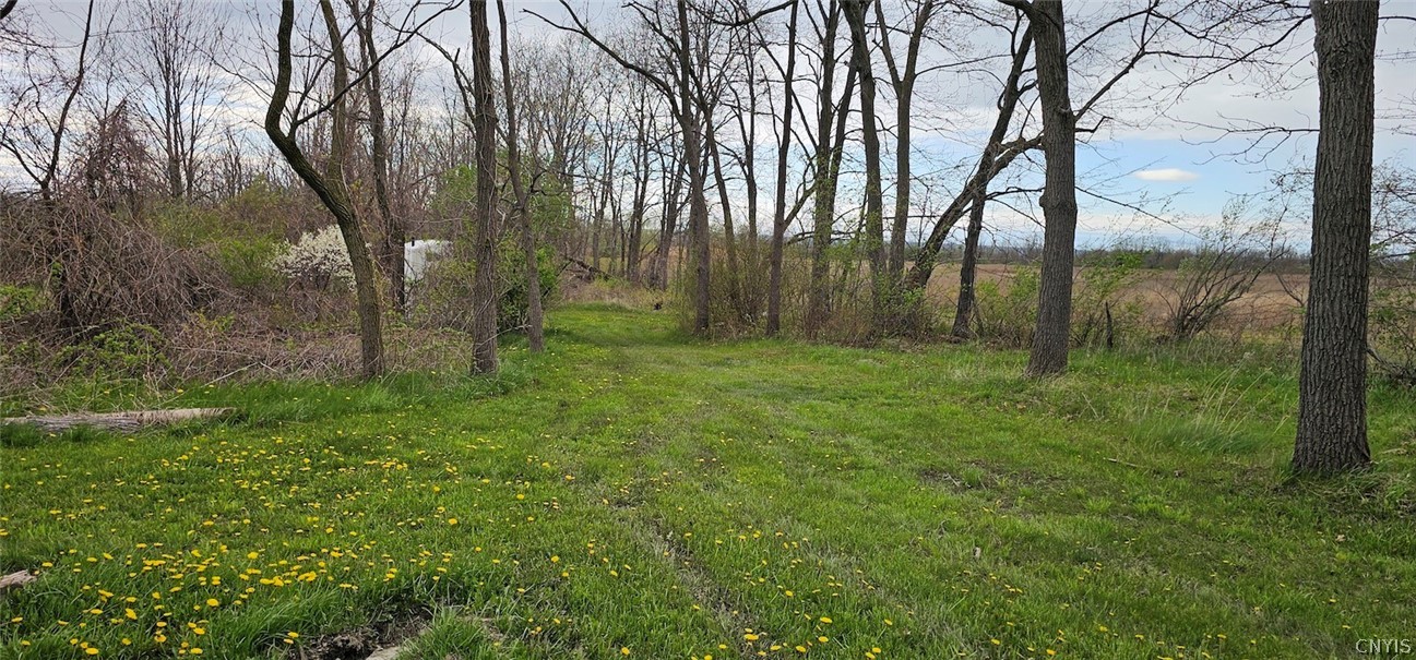 7500 County Road 131 Ovid, NY 14521 - Photo 11 of 20