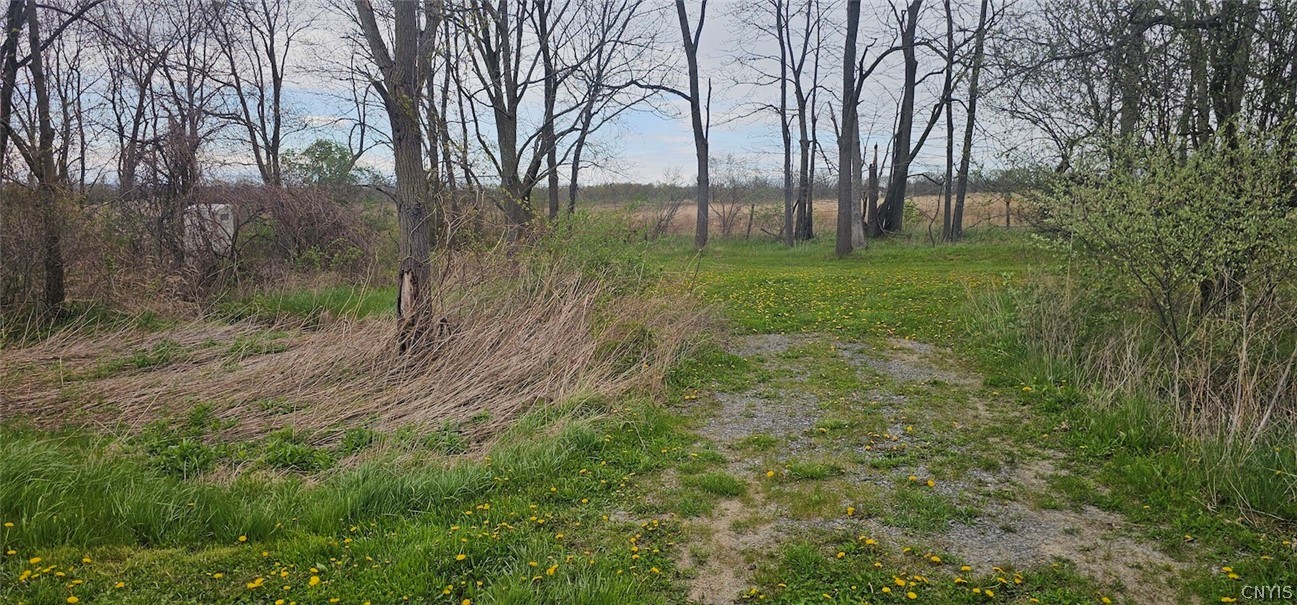 7500 County Road 131 Ovid, NY 14521 - Photo 17 of 20