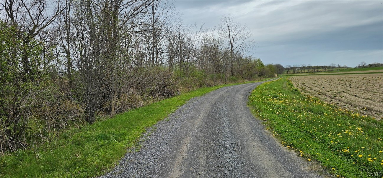 7500 County Road 131 Ovid, NY 14521 - Photo 19 of 20