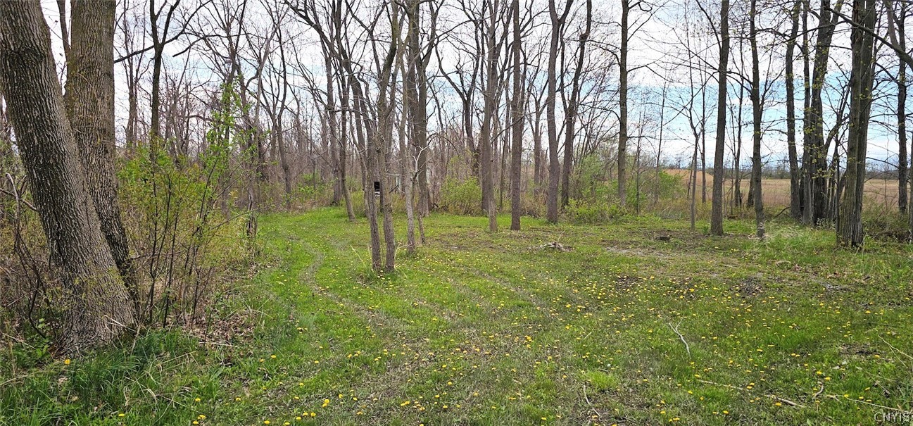 7500 County Road 131 Ovid, NY 14521 - Photo 2 of 20