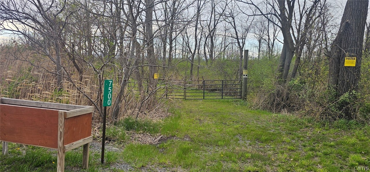7500 County Road 131 Ovid, NY 14521 - Photo 6 of 20