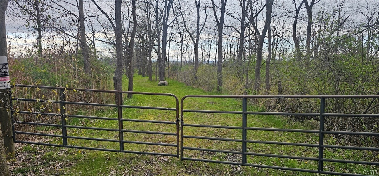 7500 County Road 131 Ovid, NY 14521 - Photo 7 of 20