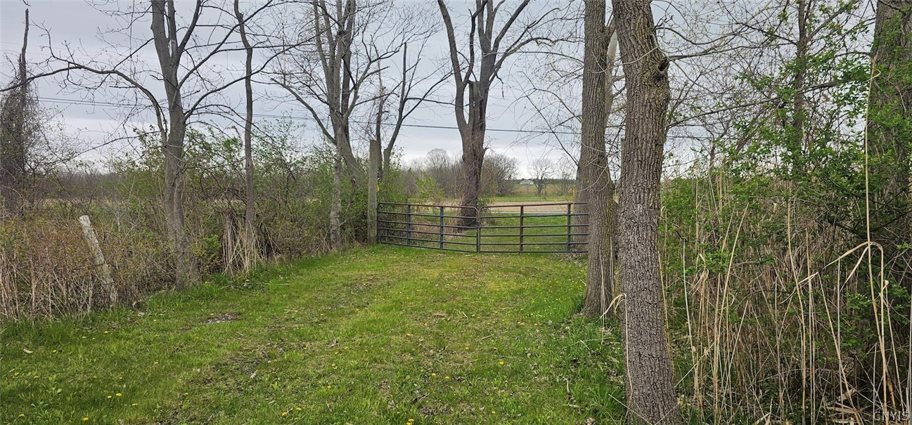 7500 County Road 131 Ovid, NY 14521 - Photo 8 of 20