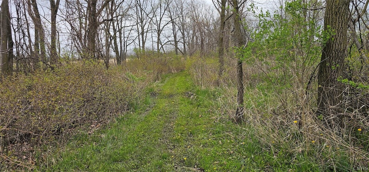 7500 County Road 131 Ovid, NY 14521 - Photo 9 of 20
