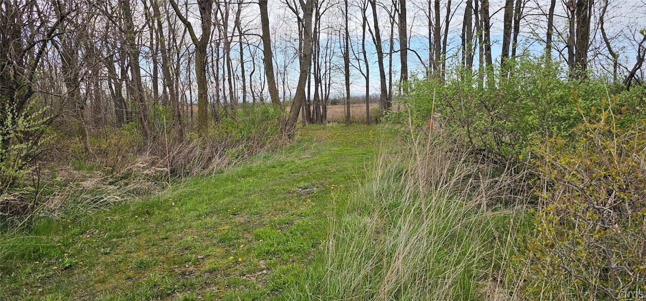 7500 County Road 131 Ovid, NY 14521 - Photo 10 of 20
