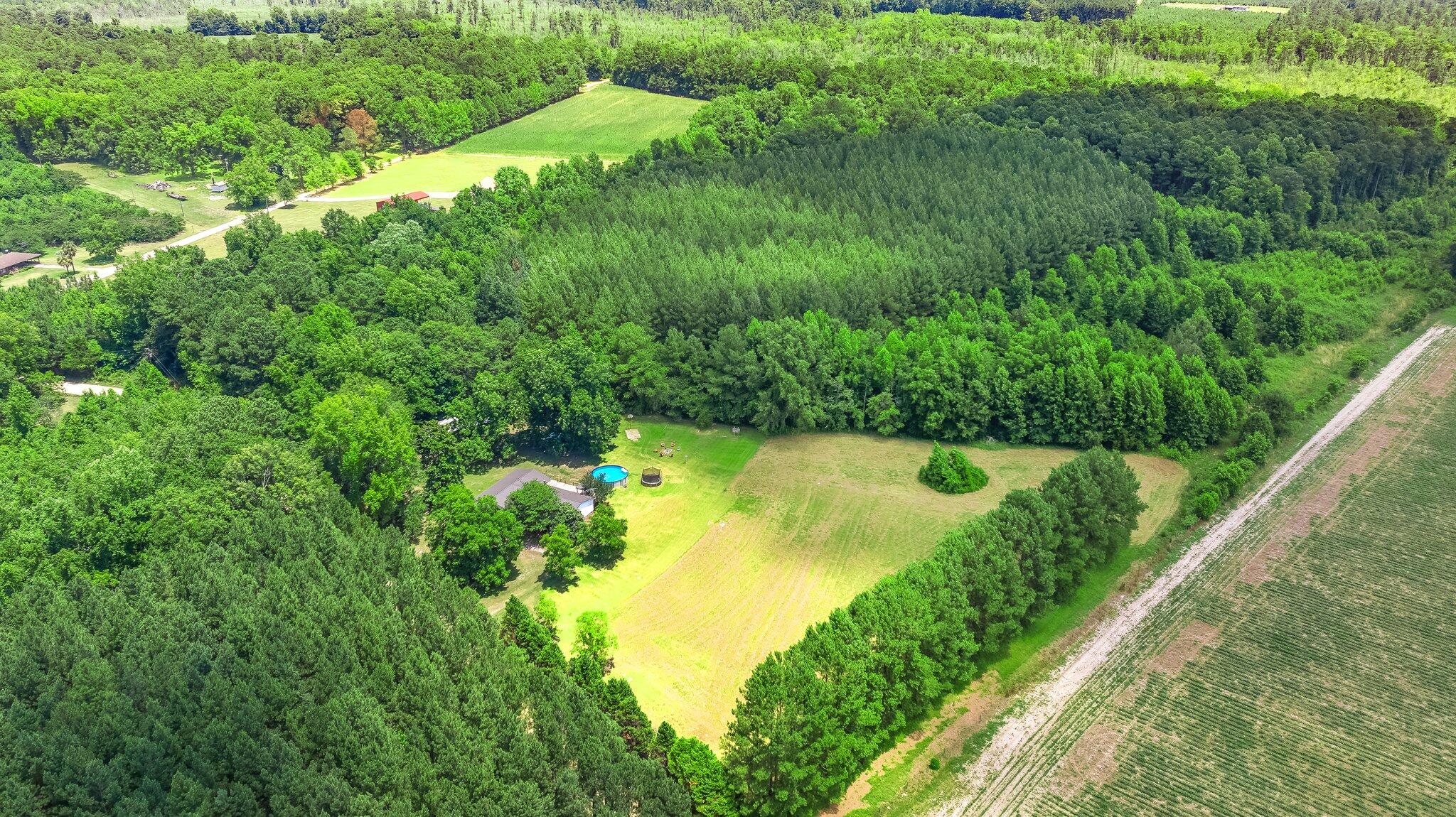 494 Old Spell Road St. George, SC 29477 - Photo 6 of 38 19.2 Amazing Acres