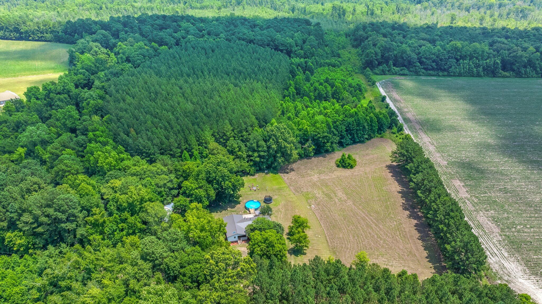 494 Old Spell Road St. George, SC 29477 - Photo 7 of 38 19.2 Amazing Acres