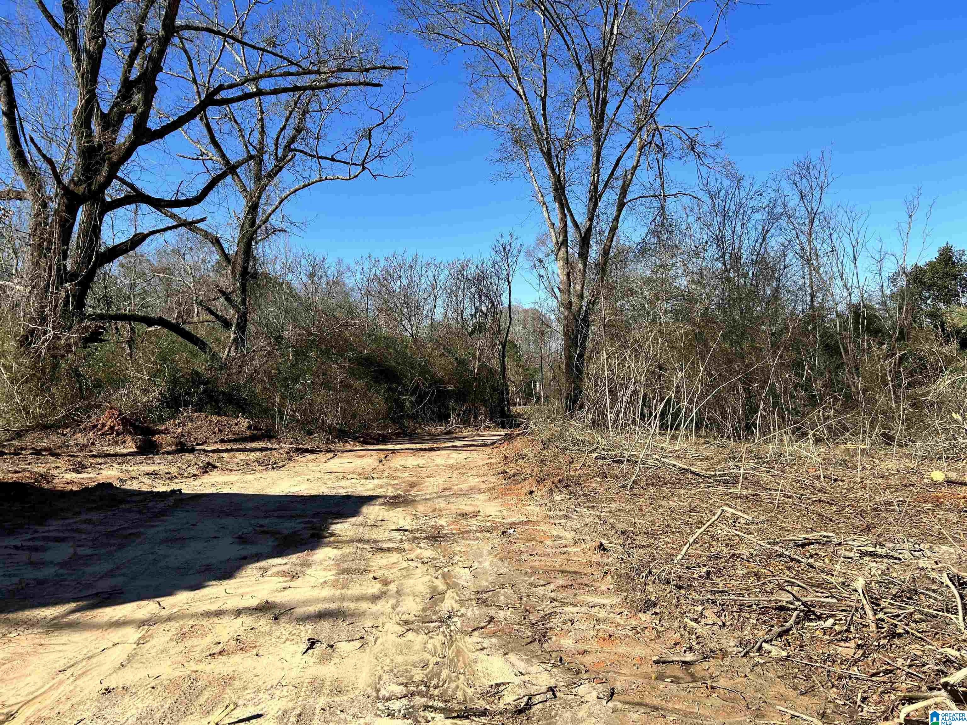 0 Lake Mitchell Road Clanton, AL 35045 - Photo 1 of 10