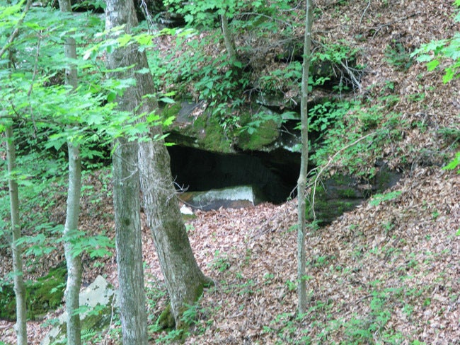 104 River Road Hinton, WV 25951 - Photo 6 of 38 Sylvan Falls -5
