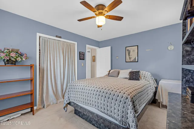 a view of a backyard with a tree