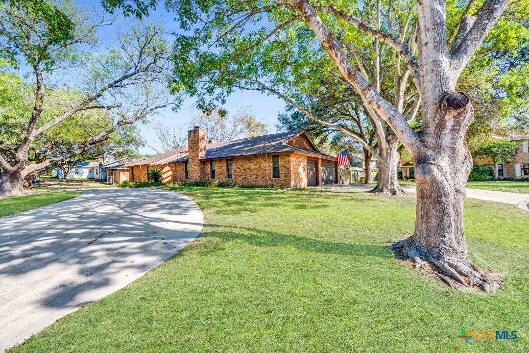 a view of a house with a tree in a yard