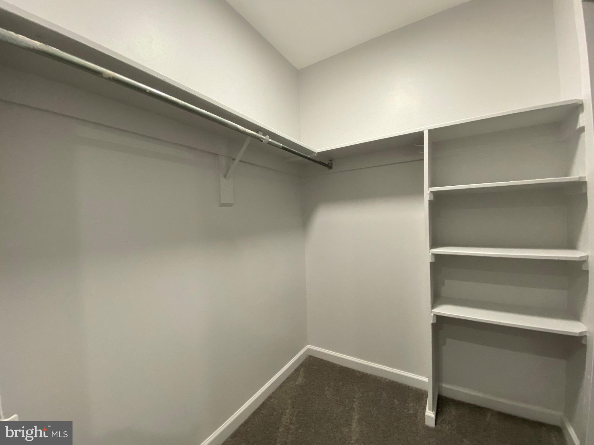 5340 Holmes Run Parkway, Unit 1003 Alexandria, VA 22304 - Photo 7 of 9 Spacious, walk-in closet for organized living.