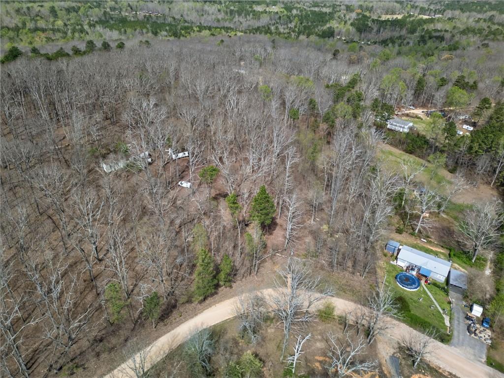 0 Mountain View Road Bremen, GA 30110 - Photo 3 of 4