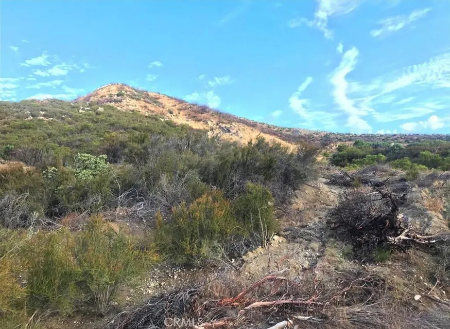 0 Gully View Drive Anza, CA 92539 - Photo 5 of 9 a view of a big yard