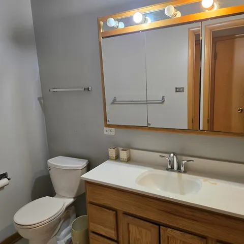 a bathroom with a sink a toilet and mirror