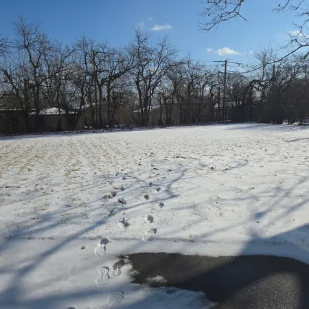 a view of yard covered with snow