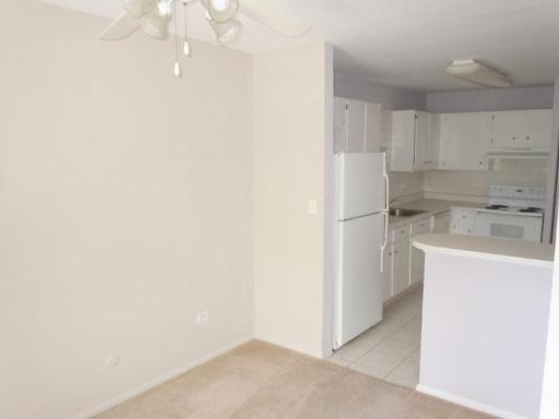 920 Ridge Square, Unit 206 Elk Grove Village, IL 60007 - Photo 4 of 11
