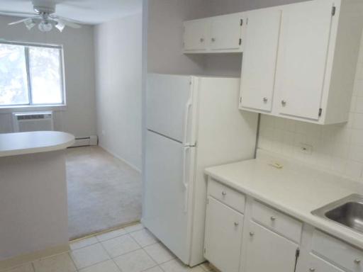 920 Ridge Square, Unit 206 Elk Grove Village, IL 60007 - Photo 6 of 11