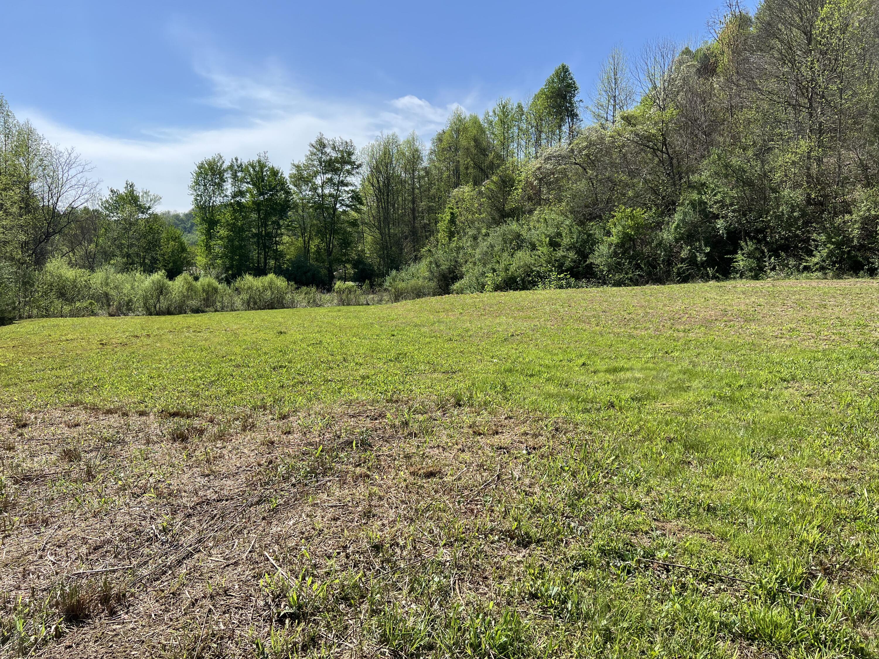 397 Miller Branch Road Bimble, KY 40915 - Photo 6 of 26 MBR5
