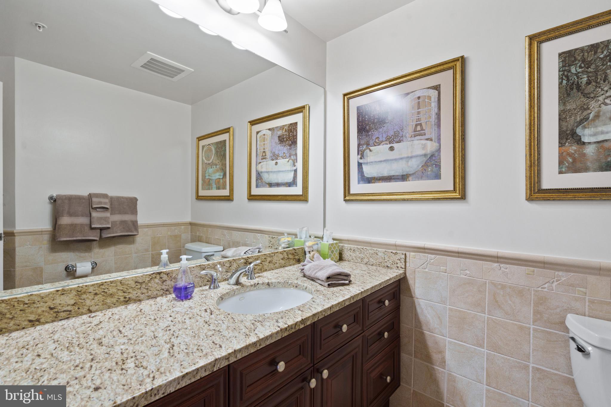 11990 Market Street, Unit 813 Reston, VA 20190 - Photo 16 of 48 a bathroom with a granite countertop sink a mirror and a picture
