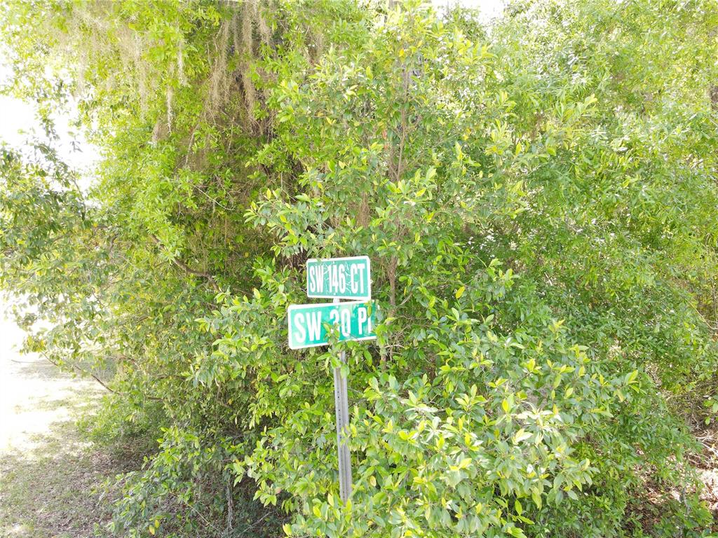 30 Southwest Sw Place Ocala, FL 34481 - Photo 9 of 12 a sign that is sitting in front of a tree