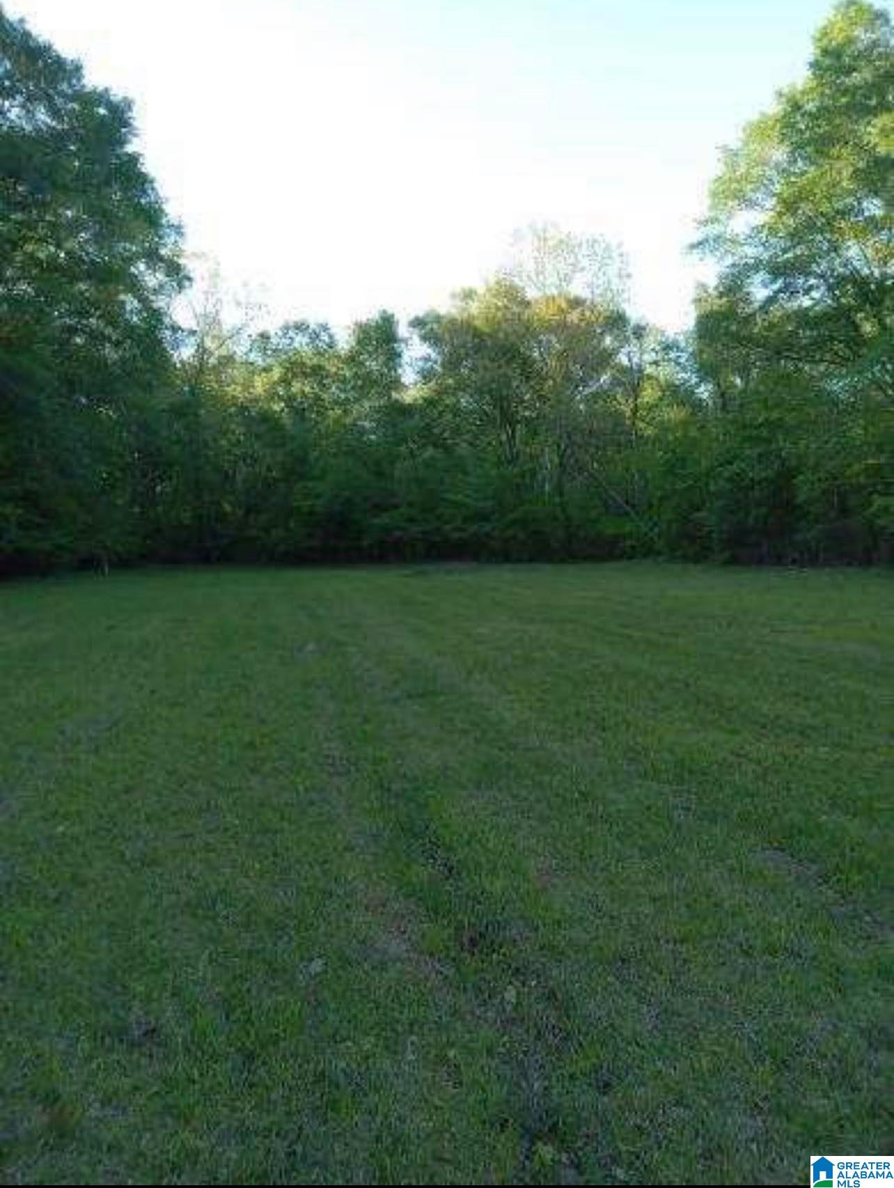 1816 Mt View Road Wellington, AL 36279 - Photo 32 of 33