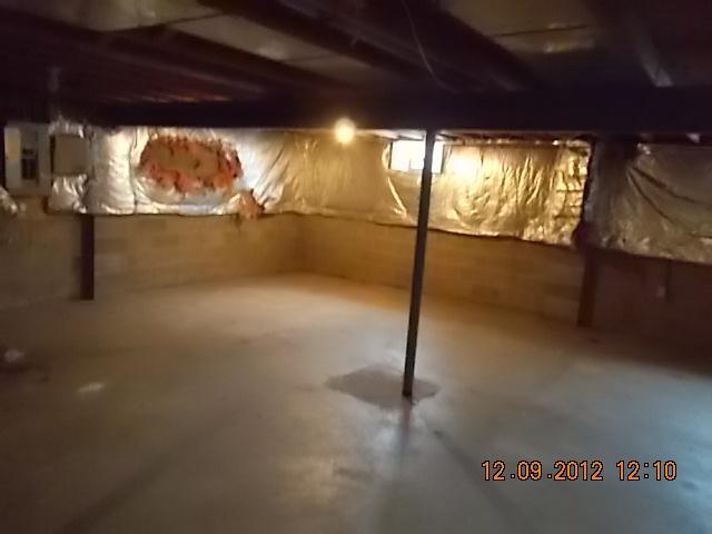 5116 Dexter Falls Road Columbus, OH 43221 - Photo 6 of 12