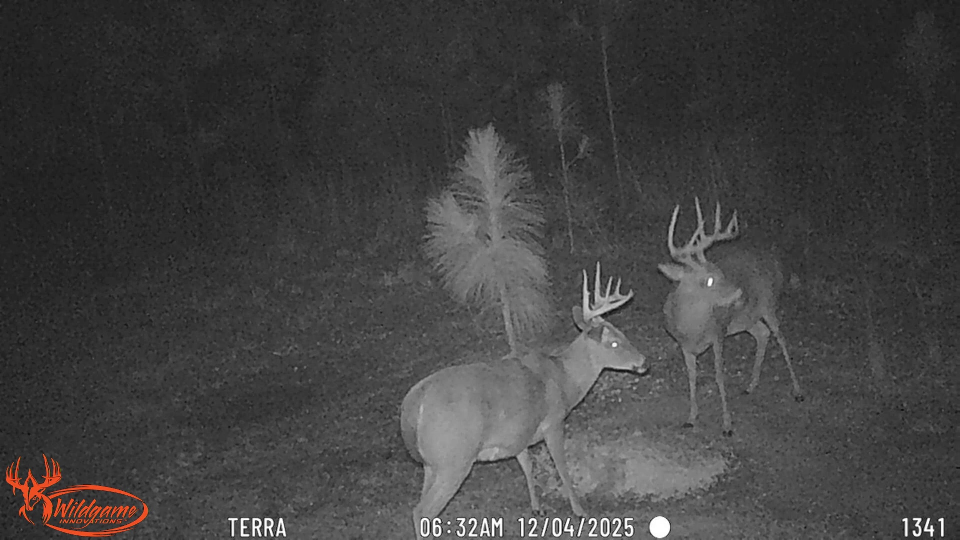 31272 Highway 331 Opp, AL 36467 - Photo 26 of 50 Gallery Image 26