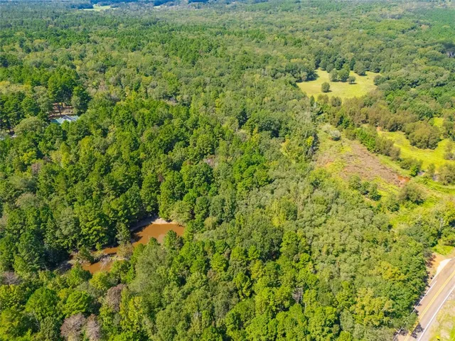 a view of a big yard with plants and large trees
