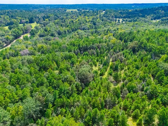 an aerial view of residential houses with outdoor space and trees