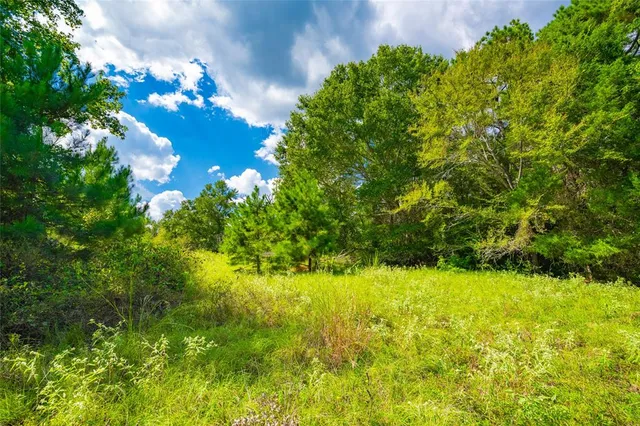 a view of yard with green space