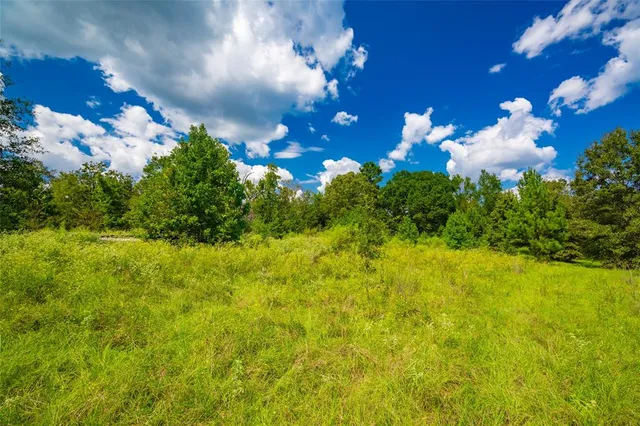 a view of a bunch of flowers in bunch