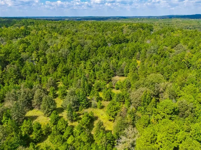 a view of a large yard with lots of plants